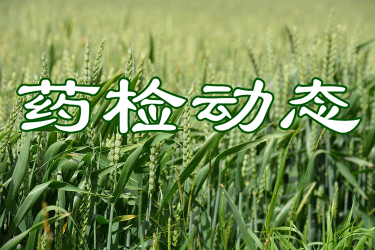 农业农村部农药检定所召开农药再评价工作研讨会